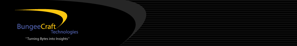 BungeeCraft Technologies logo